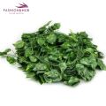 Natural-Looking Artificial Garland Green Leaf Bail: Perfect for Home, Office, Parties, and Weddings - 7 ft to 7.5 ft Length. 