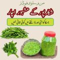 Green Chattni Chilli Mint. 