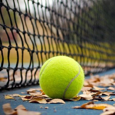 Tannis/Tennis%20ball-for%20cricket-pack%20of%206/Sports,%20Tape%20ball-of%2012-pcs/bundle/Swing-Circket%20practice%20ball/training%20balls-for%20boys,%20kids-Best%20ball-for%20Match/T20/Gully%20Cricket-Set%20of/Cricket%20balls,%20Cricket%20tanis-bat/tenis%20ball,%20in%20bulk-Bounce%20ball%20for%20cricket%20-%20Image%204