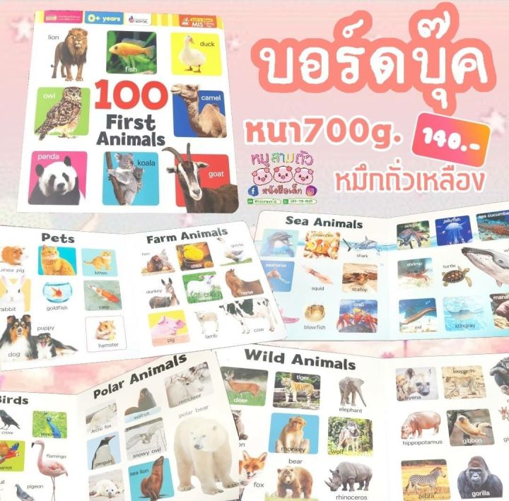 100%20First%20Animals,%20Board%20Book,%20Real%20Pictures,%20Thick,%20Won'T%20Tear,%20Animal%20Book%20from%20Talkingpen%20Thailand,%20Talking%20Pen.%20-%20Image%208