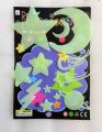 Glow In The Dark Luminous Fluorescent Sticker-Assorted. 