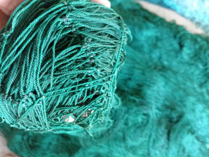 Farm protection Net / fence net / chicken farm Fence net