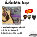 (Ready to deliver) Yamaha electric guitar string No. 9/10/11/12 free 2 guitar picks + 1 pick storage. 