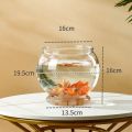 Fish Bowl Small Aquariums for Small Ornamental Fish and Reptiles High Transparency Glass Good View Aquarium Tank  Fish Tank. 