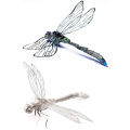 New Mini 3D Metal Puzzle Insect Model DIY Handmade Toy Dragonfly Puzzle Learning Education Toys for 14+y Metal Earth  Toys. 