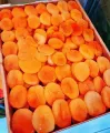 fresh jalley khubani  1kg  soft Apricot. 