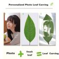 Customized Engraved Name and Photo in Natural Leaf with Frame for Gift,Happy birthday,Wedding and Anniversary Gift. 