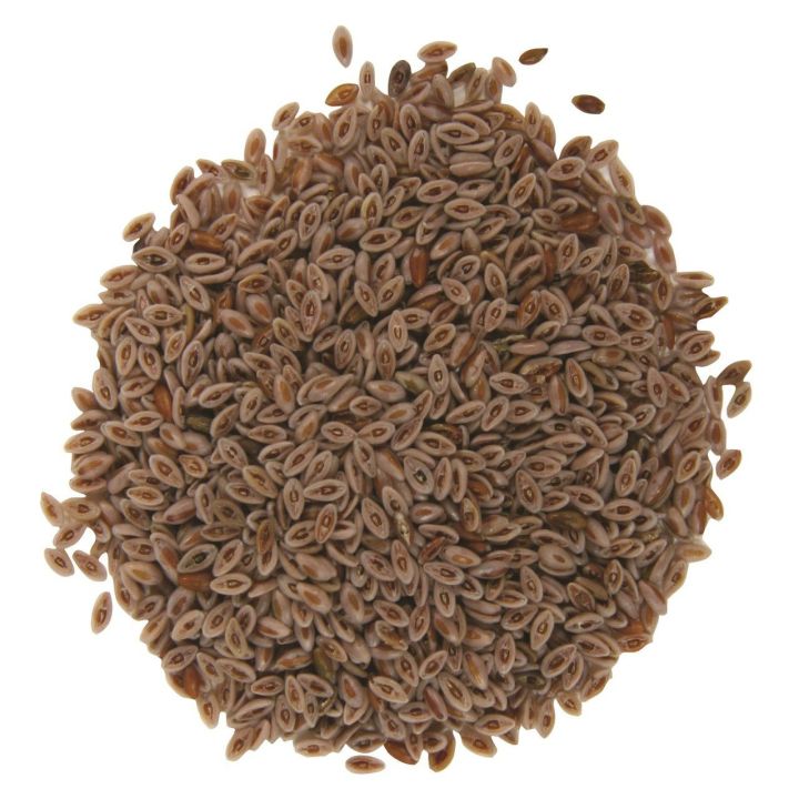 Ispaghol Sabit / Psyllium Seeds 100Gram