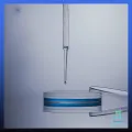 25 PCs colored dropper bottles; 1 ml, 3 ml, 5ml, 10ml (dropper/pasteur pipette) dropper liquid pipette dropper, plastic dropper tubes. 