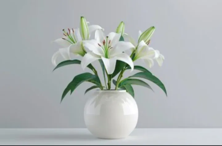 Artificial%20flower%20decorative%20vase%20round%20shape%20succulent%20cactus%20concrete%20made%20vase%20-%20Image%202