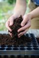 compost 100g fertilizer for home gardening. 