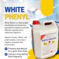 Premium White Phenyl – Intense Clean, Lasting Freshness, Total Germ Protection. 