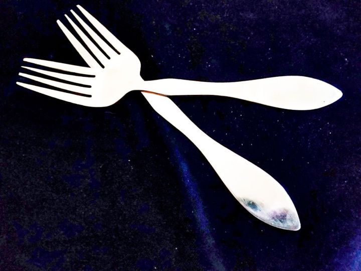 Stain%20less%20steel%20dinner%20forks%206%20pieces%20-%20Image%204