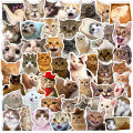 50Pcs Funny Cat Stickers Adorable, Kawaii and Colorful Decals Perfect for Water Bottles, Laptops and phone. 