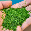 140ML Leaves Foliage Landscap Realistic Miniature Leaves Simulation Leaves for DIY Railway Fairy Garden Diorama Landscape Layout.
