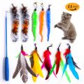 11pcs Replacement Cat Feather Toy Set Feather Replacement Head Retractable Cat Stick Cat Products. 