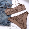 Hot Sale New Design 2 Piece Leopard Ice Silk Bralette Wireless Fitness Tracelss Bra Brief Seamless Bra And Panty Set For Women.