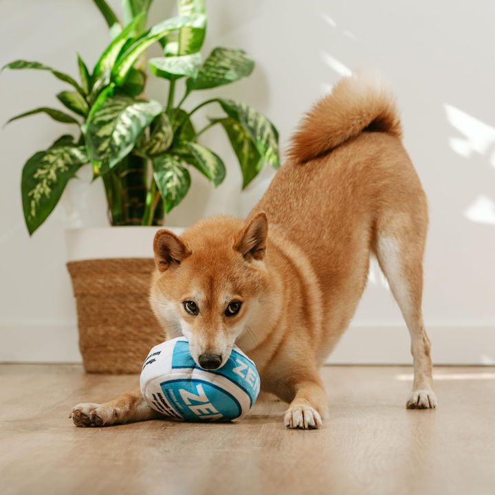 Zen%20Pupper%20Deckies%20Parody%20Dog%20Toy%20-%20Plush%20Squeaky%20and%20Crinkle%20Funny%20Dog%20Toy%20-%20Drool%20Mint%20-%20Image%204