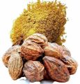 Dried Aralu Powder - 100g pack අරළු කුඩු. 