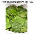 Sidr leaves, 1 pack of dried sidr leaves, Beri ke pattay, beri leaves, 1 packet bairy ke pattay. 