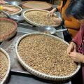 High Quality Chilgoza / Pine Nuts / Gilgit Specail Shogat 1 kg (1000g). 