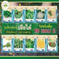 Chia Tai (buy 10 get 2) 10g yard long bean seeds, yard long bean seeds, yard long bean seeds, vegetable seeds, garden vegetables. 