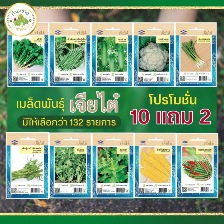 Chia%20Tai%20(buy%2010%20get%202)%2010g%20yard%20long%20bean%20seeds,%20yard%20long%20bean%20seeds,%20yard%20long%20bean%20seeds,%20vegetable%20seeds,%20garden%20vegetables%20-%20Image%204