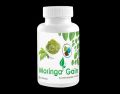 Moringa- Gain 90- Serving. 
