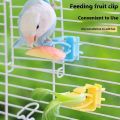 2/4 Pcs Pet Bird Food Holder Parrot Fruits Vegetables Clip Bracket Cuttlefish Bone Feeder Device Clamp Bird Cage Accessories.