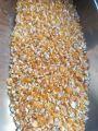 Crushed Corn (Makai Dalya) (1 Kg). 
