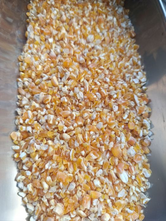 Crushed Corn (Makai Dalya) (1 Kg)