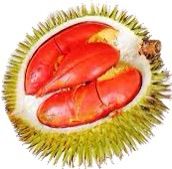 Rathu%20durian%20red%20durian%20very%20rare%20plant%20red%20king%20of%20fruits%20red%20banyuwangi%20durian%20plant%20-%20Image%207