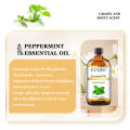 EUQEE 118ml Pure Essential Oil For Skin Peppermint Lavender Eucalyptus Vanilla Bergamot Aromatherapy Essential Oils For Diffuser.