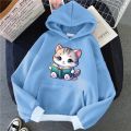 Ladies Stylish Premium Hoodie. 
