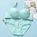 Gathering Show Large French Underwear Women Collect Side Breasts Upturned Bra Without Steel Ring Underwear Set. 