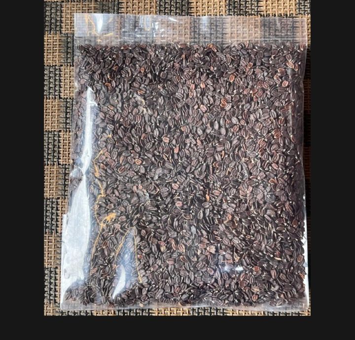 Ban%20Silam%20Seed%20Bunsilam%20-%201kg%20-%20Image%202