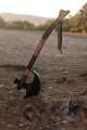 IYI Ertugrul Sword-Turgut Kulhara, wood cutting and home decorators. 