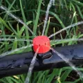 50/100 Pieces 8 Hole Adjustable Irrigation Dripper Sprinkler Emitter Dripper Micro Drip Irrigation Sprinkler for Watering System. 