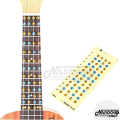 Guitar chords fretboard sticker book without opening guitar chords fretboard stickers for beginners. 