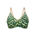 Net Fancy Bra -Net Fabric Brazzers. 