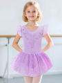 Girls Dance Leotards for Ballet Dress Shiny Tutu Skirted Leotard Gymnastics Bodysuit Ballet Wear Stage Performance Costume.