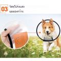 Pet dog cat bite-proof collar, Elizabeth ring, cat dog protection collar. 