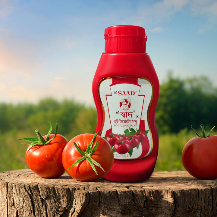 Saad Hot Tomato Sauce - 250gm