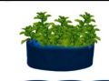 Kiyari grow bags 6 inches by 12 inches pack of 2. 