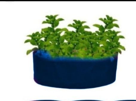 Kiyari%20grow%20bags%206%20inches%20by%2012%20inches%20pack%20of%202%20-%20Image%203