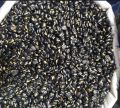 Alkushi seeds (With Milk purifiy)-500 gm. 