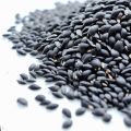 Black Mustard High Quality seeds for birds parrot cocktail bajri tota. 