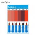 pagion 6 color lipstick set. 