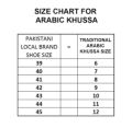 Men's Traditional High Quality Pumps | Arabic Khussa - Dark Brown. 