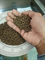 Nitro Phos 15:10 NP imported 1 kg best for gardening & lawn. 